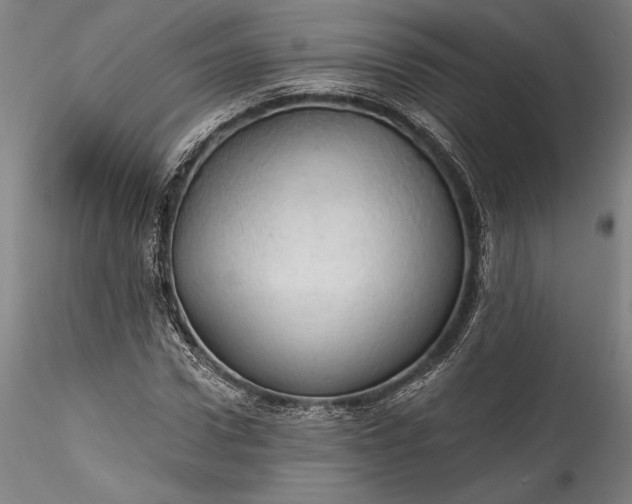 X0000115790922200911271223