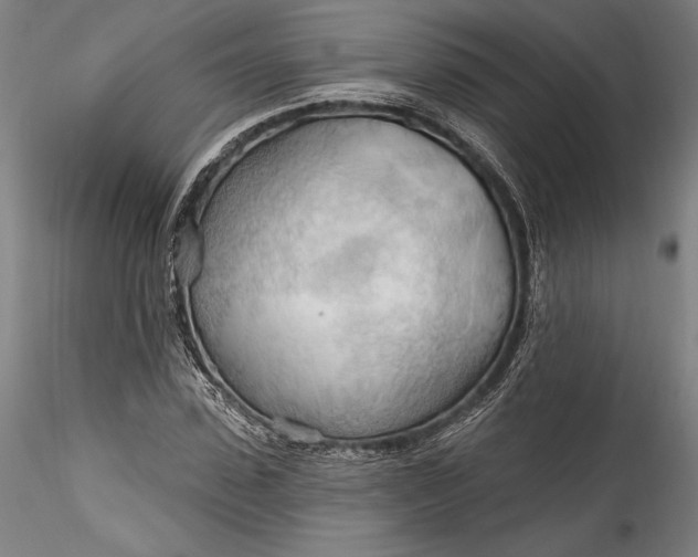 X0000115790923200911271223