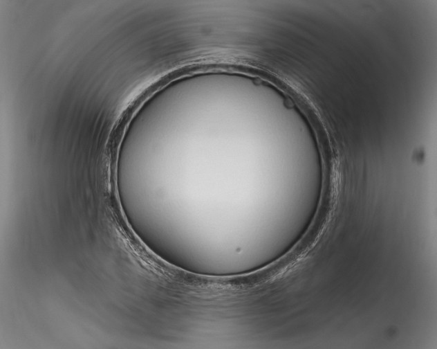 X0000115790925200911271223