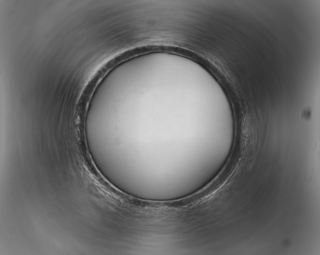 X0000115790926200911271223