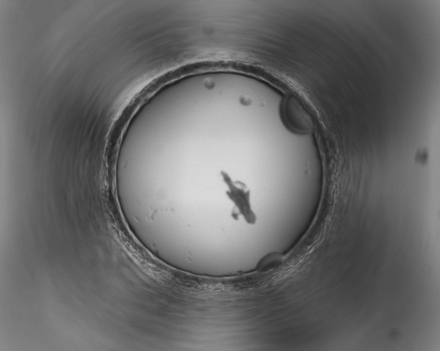 X0000115790927200911271223