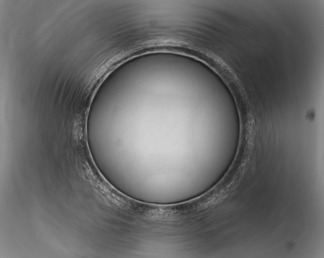 X0000115790929200911271223