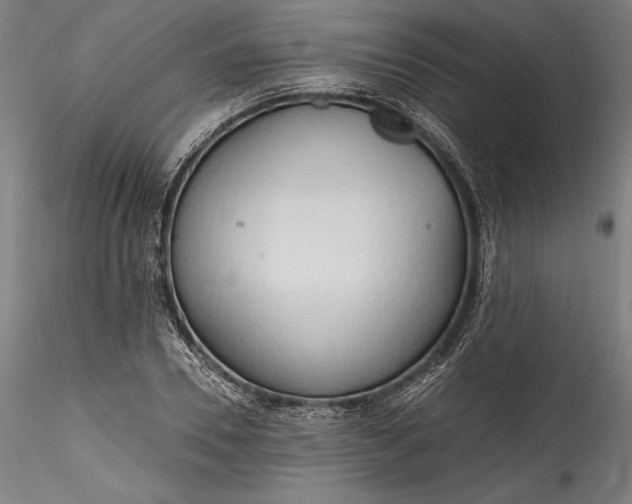 X0000115790930200911271223