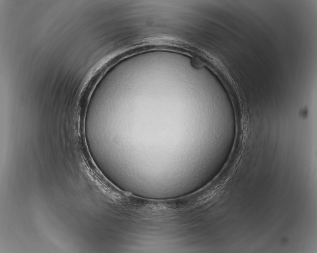 X0000115790931200911271223