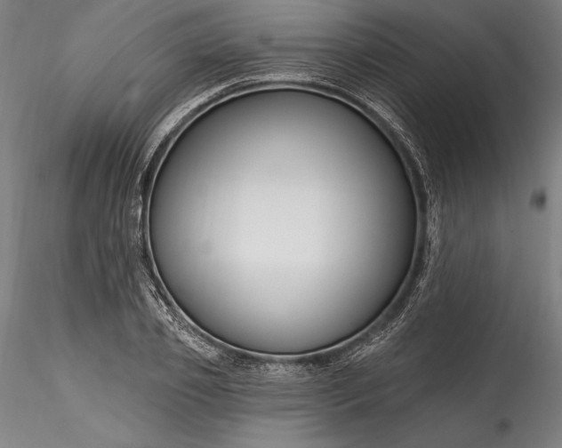 X0000115790933200911271223