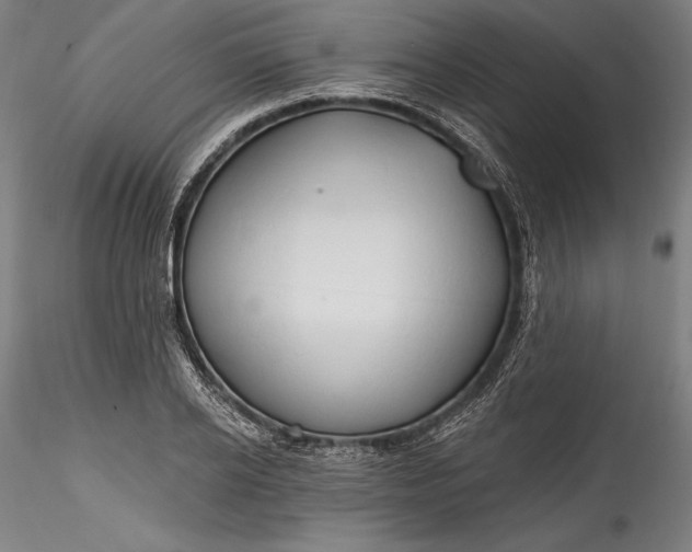 X0000115790934200911271223