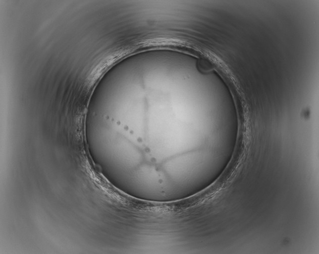 X0000115790937200911271223