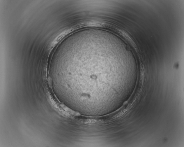 X0000115790938200911271223