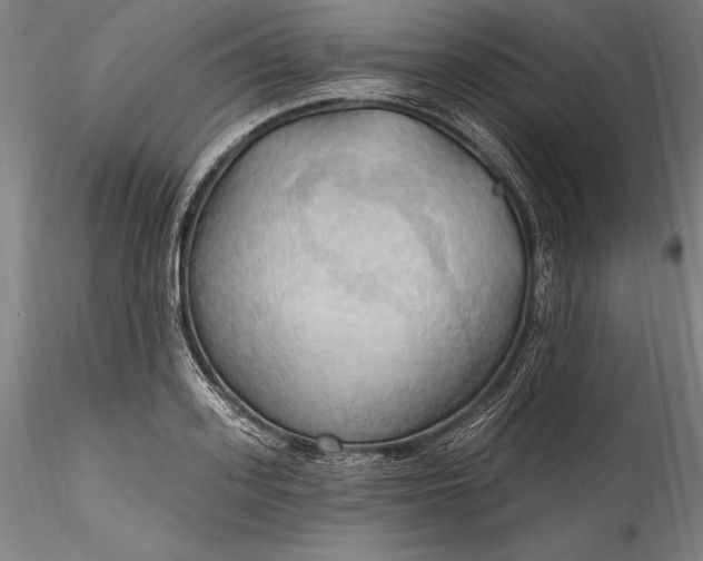 X0000115790939200911271223