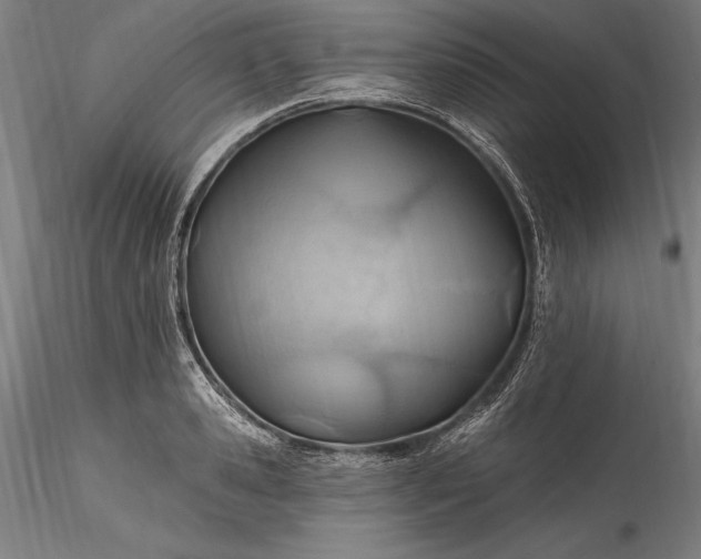 X0000115790941200911271223