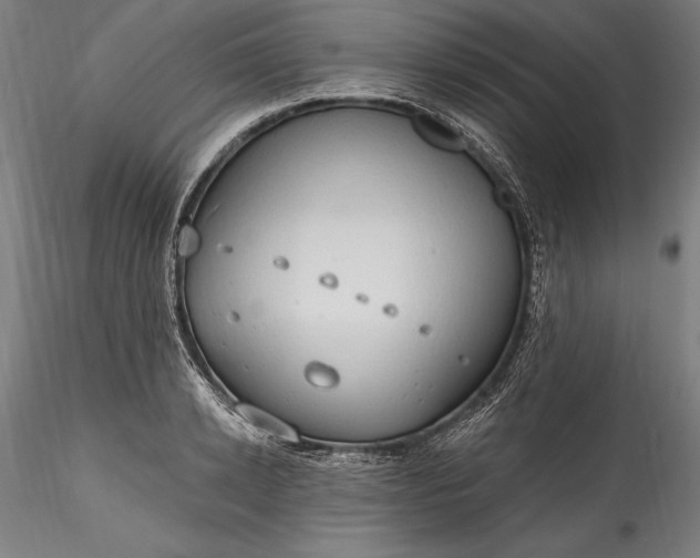 X0000115790942200911271223