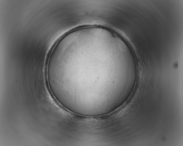 X0000115790943200911271223