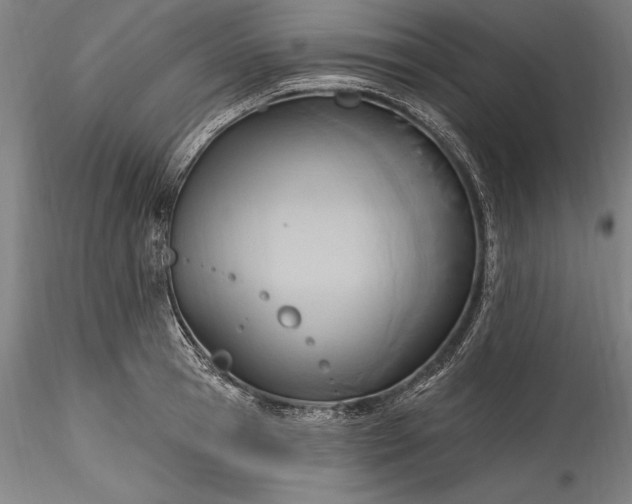 X0000115790945200911271223