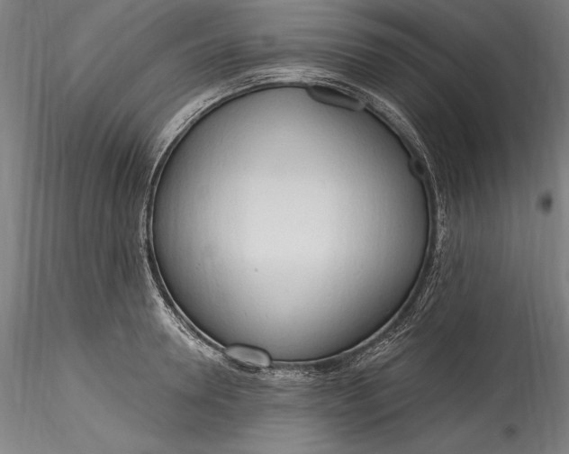 X0000115790946200911271223