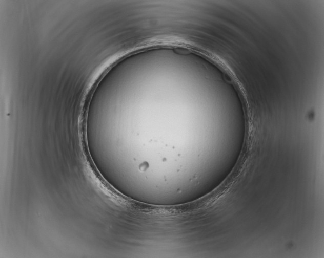 X0000115790947200911271223