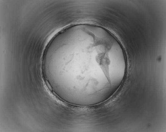 X0000115790949200911271223