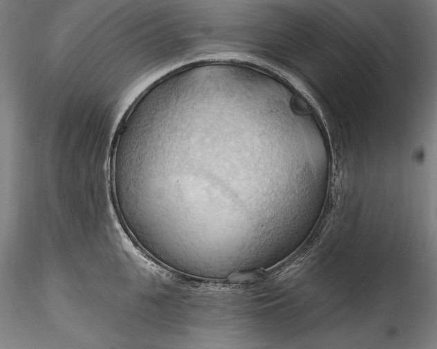 X0000115790951200911271223