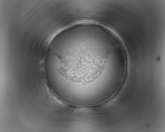 X0000115790953200911271224