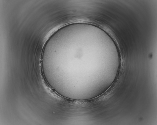 X0000115790954200911271224