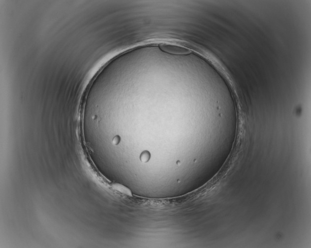 X0000115790955200911271224