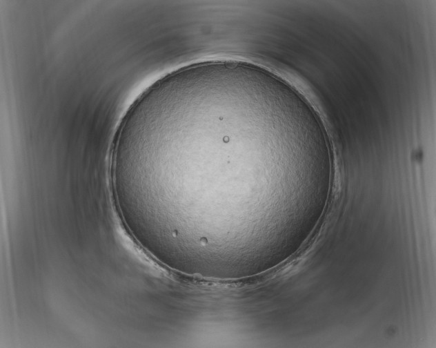 X0000115790958200911271224