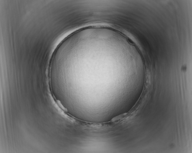 X0000115790959200911271224