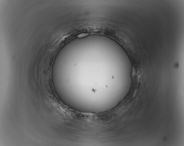 X0000115790961200911271223