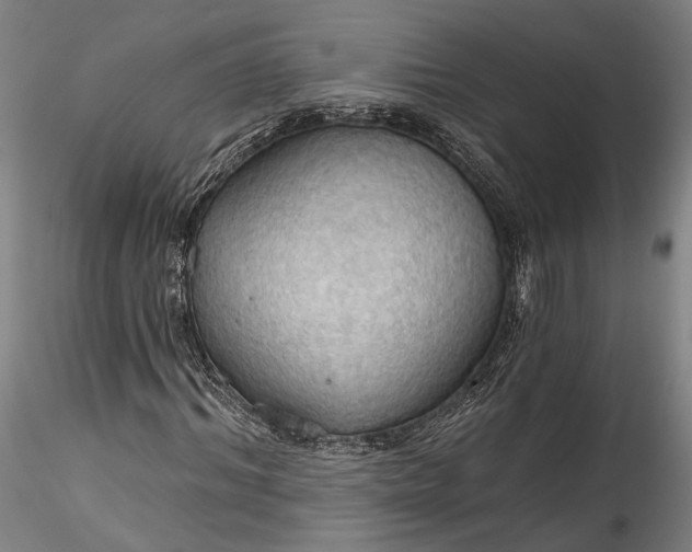 X0000115790964200911271223