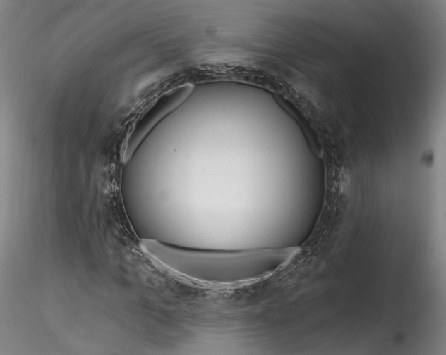 X0000115790965200911271223