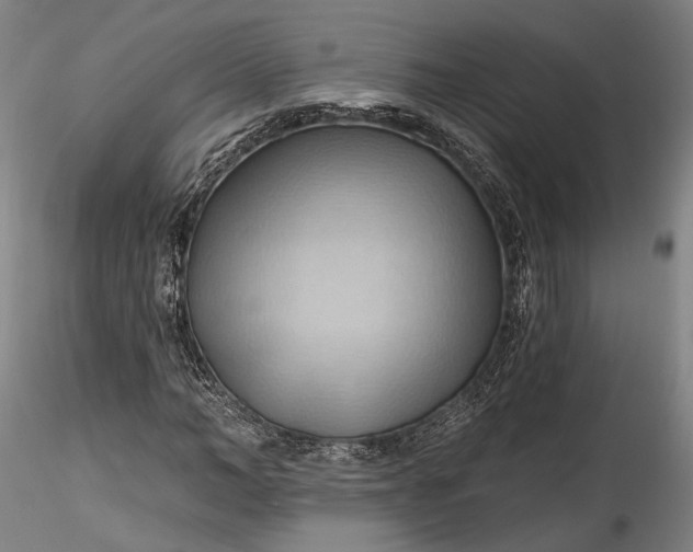 X0000115790966200911271223