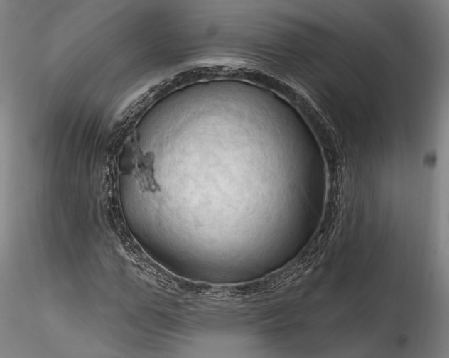 X0000115790967200911271223