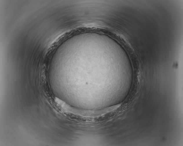 X0000115790968200911271223