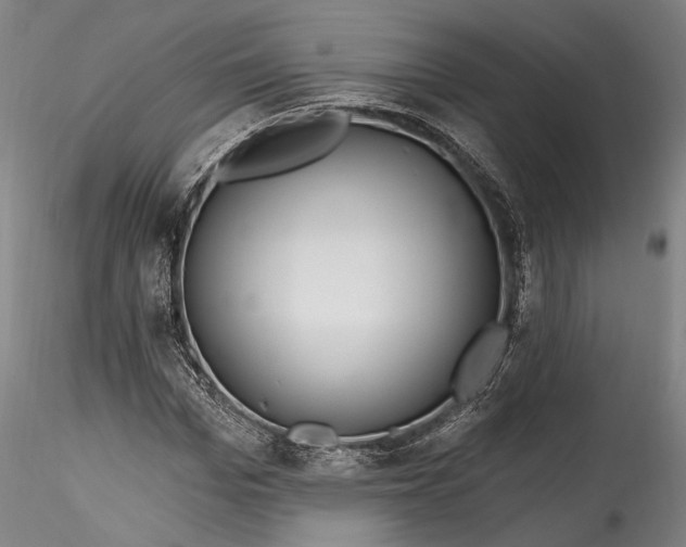 X0000115790969200911271223