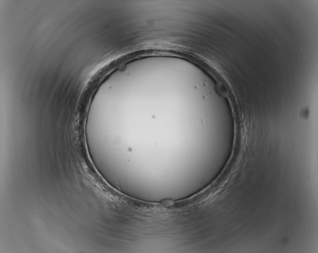 X0000115790971200911271223