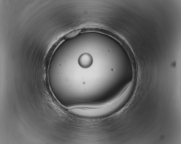 X0000115790973200911271223