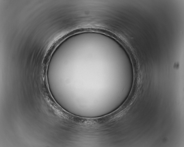 X0000115790974200911271223