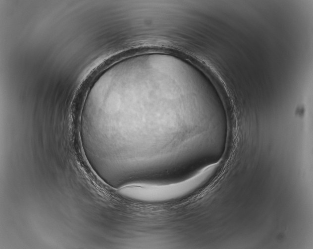 X0000115790975200911271223