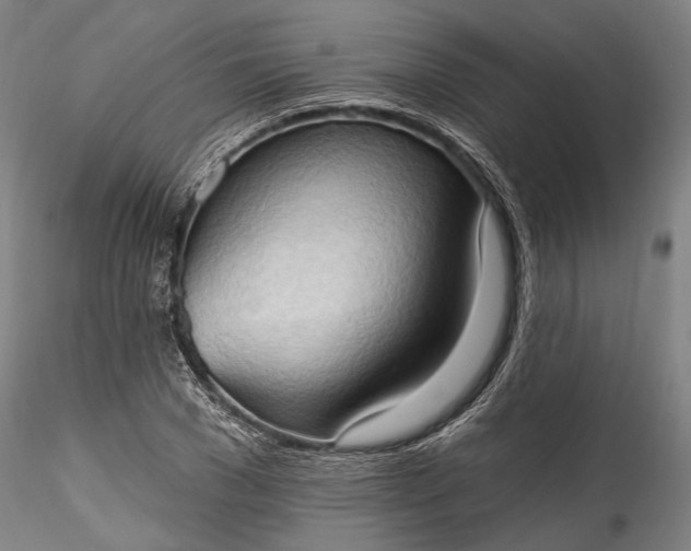 X0000115790977200911271223