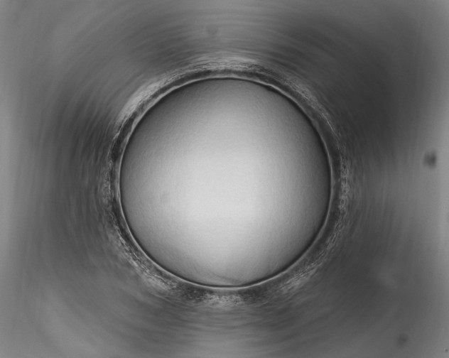 X0000115790978200911271223