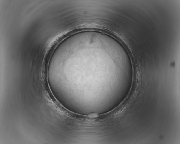 X0000115790979200911271223