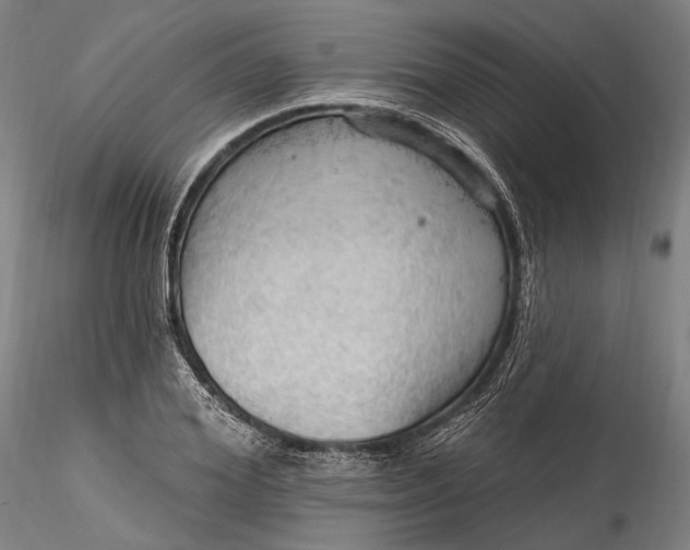 X0000115790980200911271223