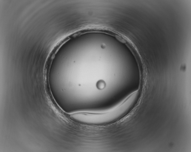 X0000115790981200911271223