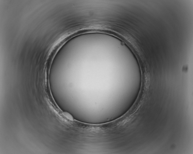 X0000115790982200911271223