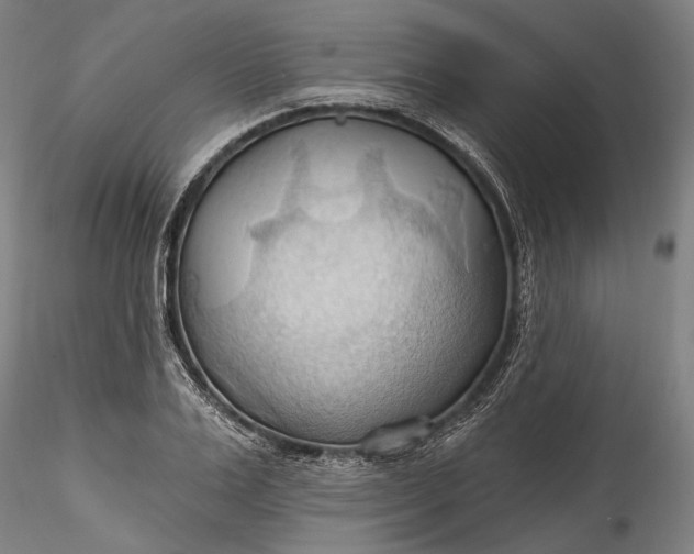 X0000115790983200911271223