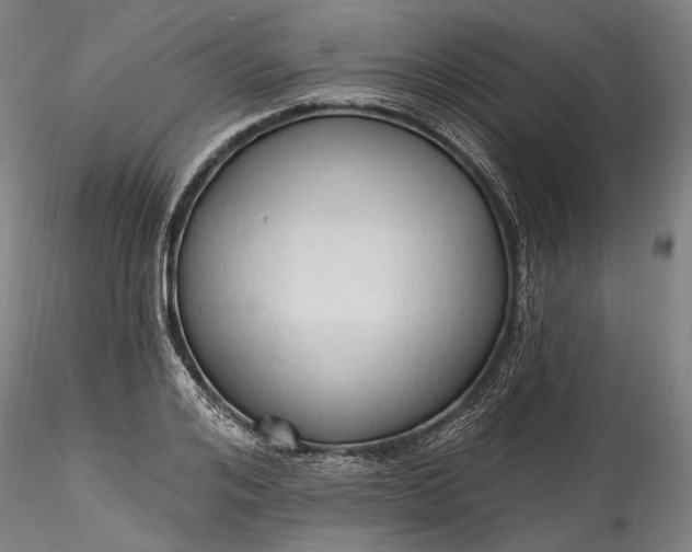 X0000115790984200911271223