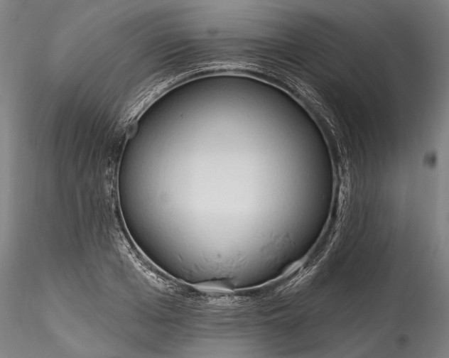 X0000115790985200911271223