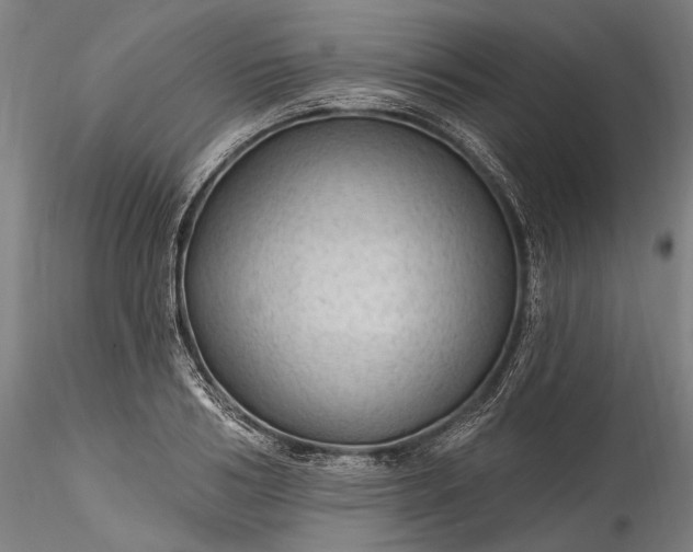 X0000115790986200911271223