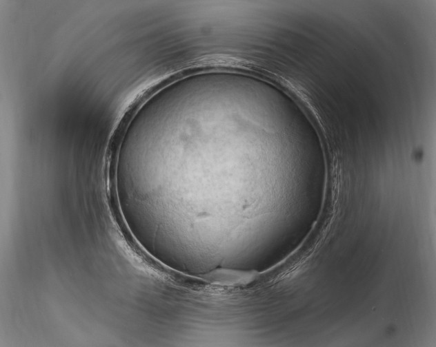 X0000115790987200911271223