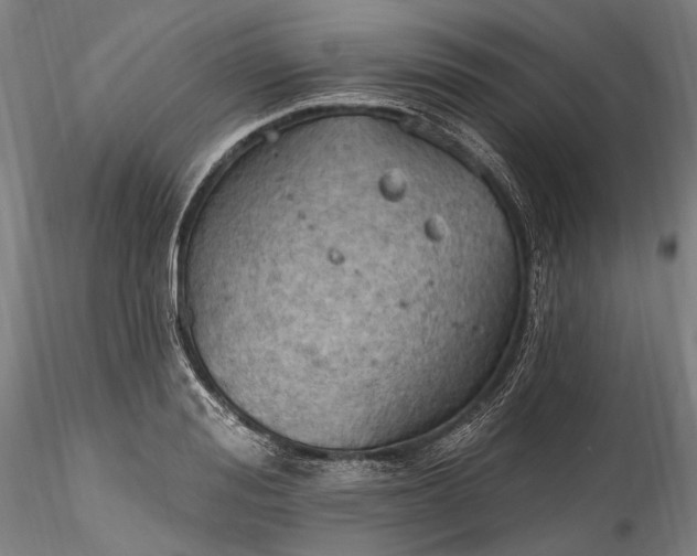 X0000115790988200911271223