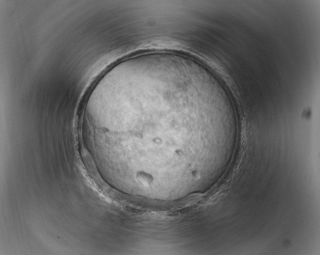 X0000115790990200911271223